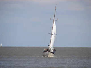 Foto op Canvas slightly tilted sail boat in the gulf of mexico © Regis Gontier