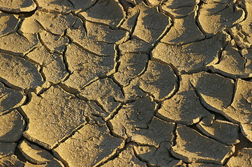 sécheresse 05
