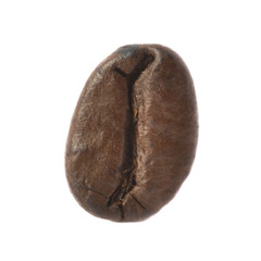  isolated macro shot of single coffee bean