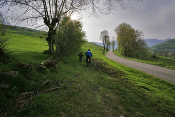 Fototapeta premium motos et nature