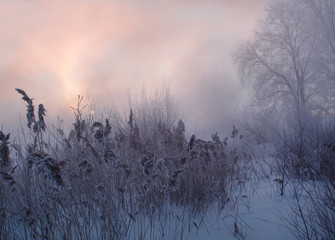 winter sunrise