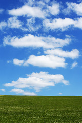 Himmel mit Wolken und  unten eine Wiese im Sommer