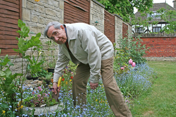 senior citizen gardening