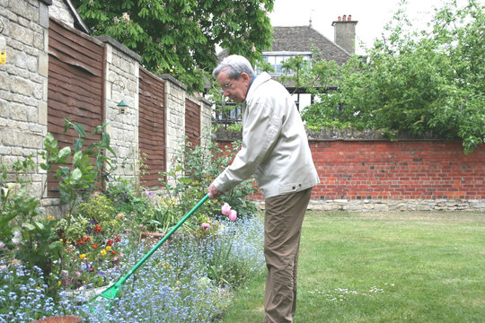 retired man raking the garden