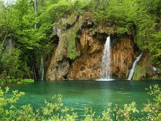 Foto op Plexiglas beautiful forest waterfall © paradoksB