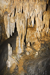 the rocks