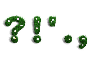 kit ponctuation pelouse fleurie