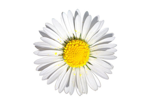 6 586 Best Detouree Images Stock Photos Vectors Adobe Stock