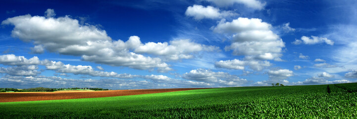 Fototapeta premium parc d'armorique