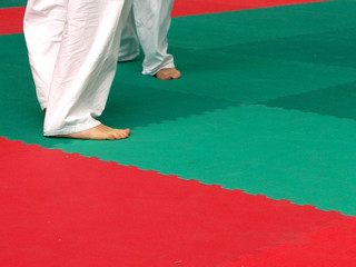karatekas