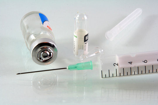 syringe neddle