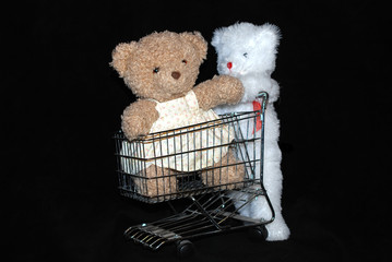 bear shopping