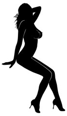 woman silhouette-012 - obrazy, fototapety, plakaty