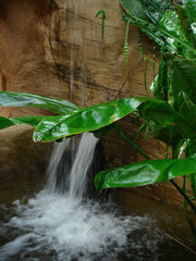 Kleiner Wasserfall
