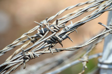 filo spinato acciaio ferro - barbed wire