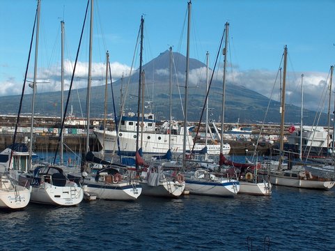 hafen von horta, fajal, mit pico