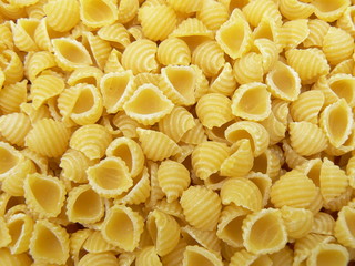 dried pasta shells