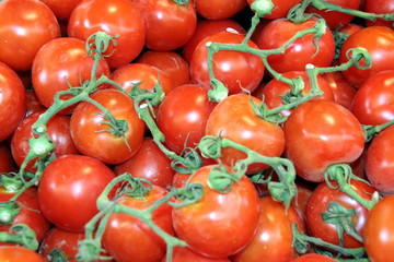 tomatoes