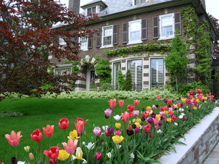 Fototapeta premium large house with tulip garden