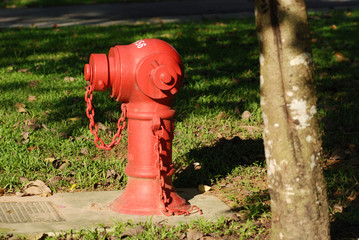 fire hydrant in the parks