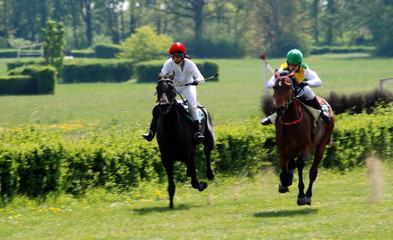 a scene of a horse race