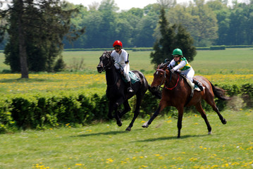 a scene of a horse race