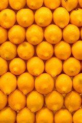 citrons au marché de barcelone