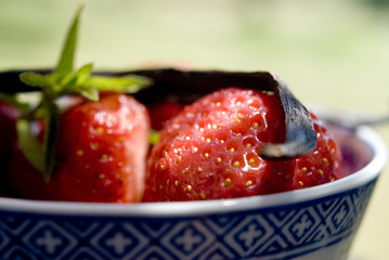 fraise4