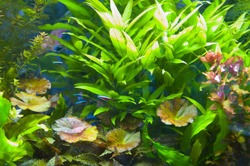 acqua © fotografiche.eu