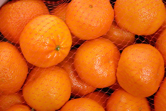 「Manderin」の写真素材 112件の無料イラスト画像 Adobe Stock