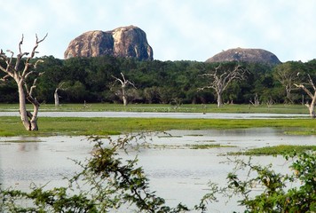 elephantrock in yala wildpark