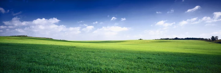 Foto auf Acrylglas Natur russland sommerlandschaft - grüne felder, blauer himmel und weißes c