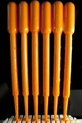 gefüllte pipetten