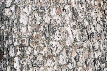 texture pin