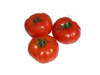 tomates