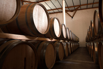 oak barrels maturing red wine and brandy