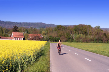 Fototapeta premium sunny road