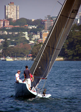 Sailing On Sydney Harbour