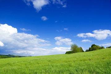 Fototapeta na wymiar meadow with clouds.