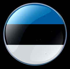 estonia flag button