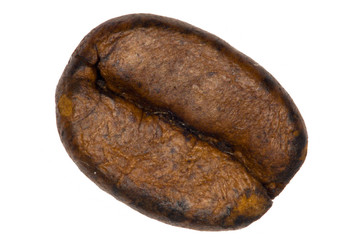 single coffee bean