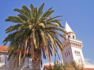 Fototapeta na wymiar palm and tower