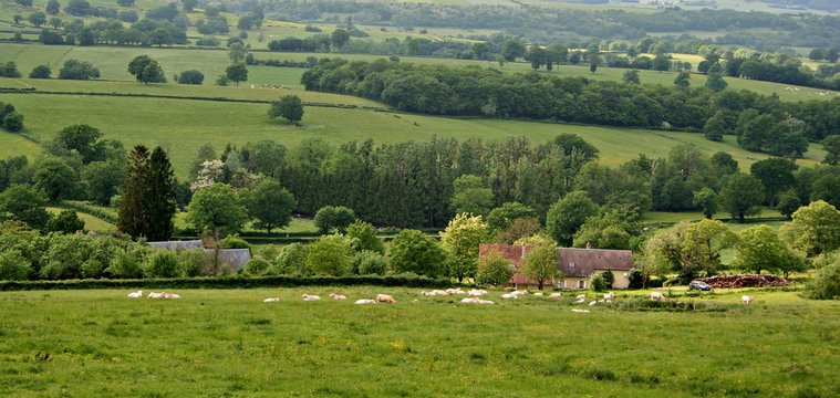 campagne morvandelle