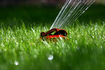 sprinkler