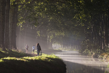 au bord du canal du midi