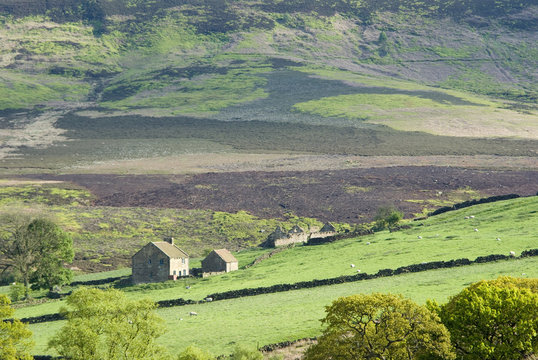 The York Moors Farm.