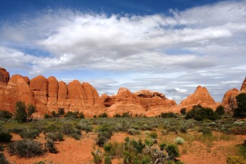Fototapeta premium crumbling beauty