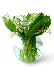 lily of the valley