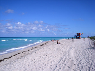 miami beach lifeguard