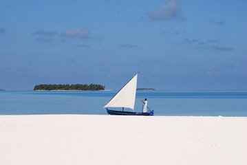 Obraz premium island